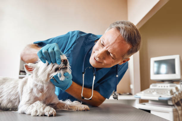 Best Emergency Tooth Extraction in Roseburg, OR